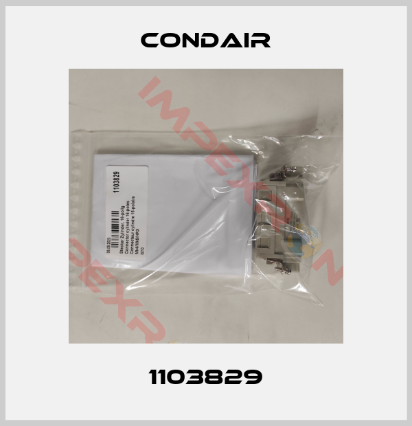 Condair-1103829