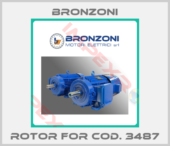 Bronzoni-rotor for Cod. 3487