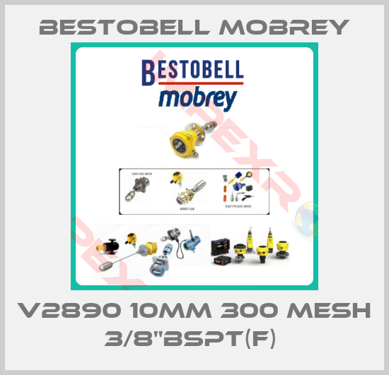 Bestobell Mobrey-V2890 10MM 300 MESH 3/8"BSPT(F) 