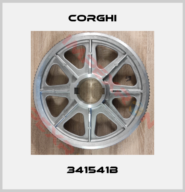 Corghi-341541B