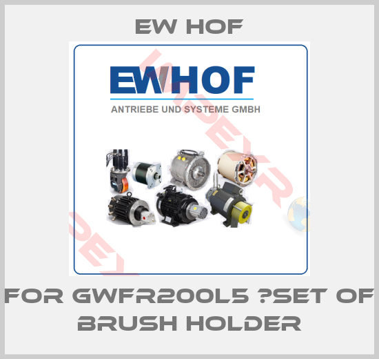 Ew Hof-For GWFR200L5 　set of brush holder
