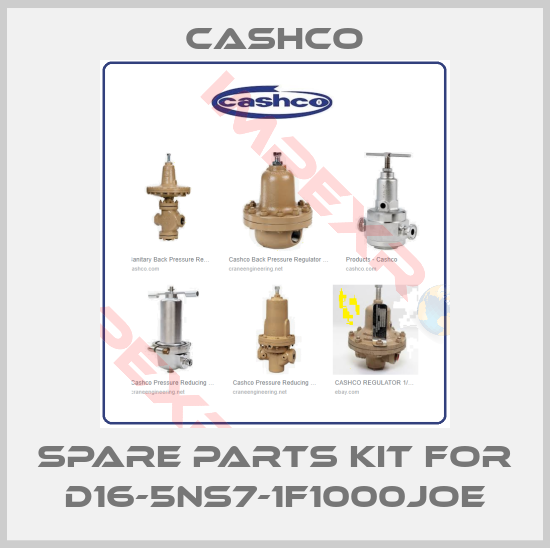 Cashco-SPARE PARTS KIT FOR D16-5NS7-1F1000JOE