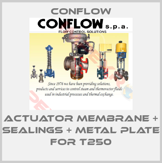 CONFLOW-actuator membrane + sealings + metal plate for T250