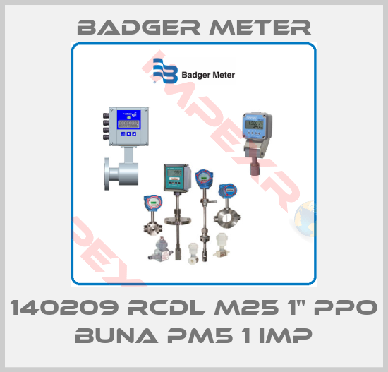 Badger Meter-140209 RCDL M25 1" PPO Buna PM5 1 Imp