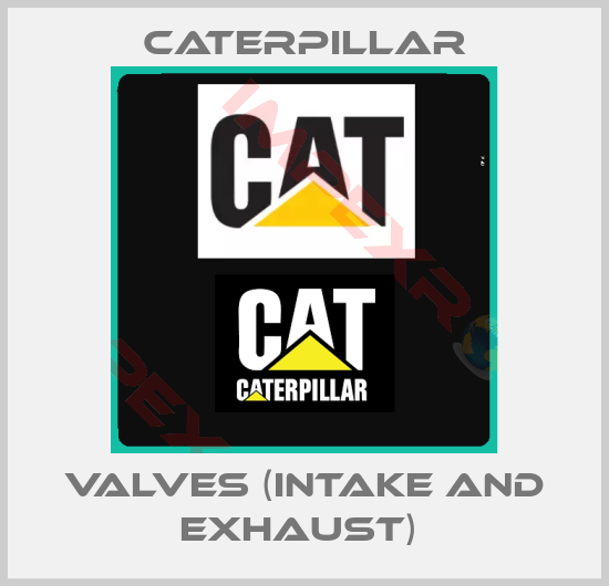Caterpillar-VALVES (INTAKE AND EXHAUST) 