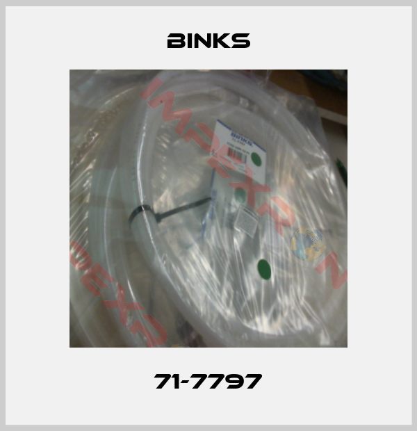 Binks-71-7797