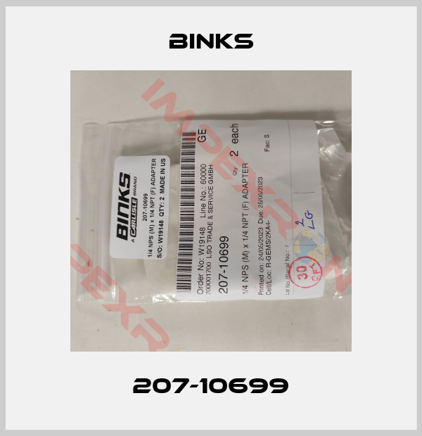 Binks-207-10699