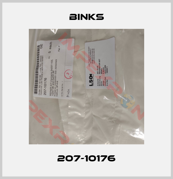 Binks-207-10176