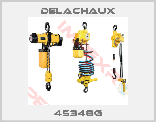 Delachaux-45348G