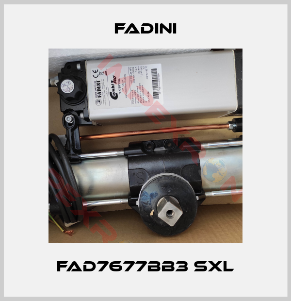 FADINI-fad7677BB3 SXL