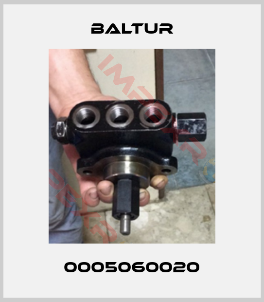 Baltur-0005060020