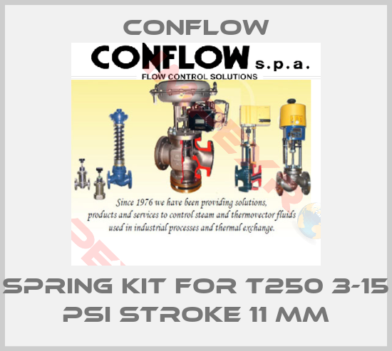 CONFLOW-SPRING KIT FOR T250 3-15 psi STROKE 11 mm