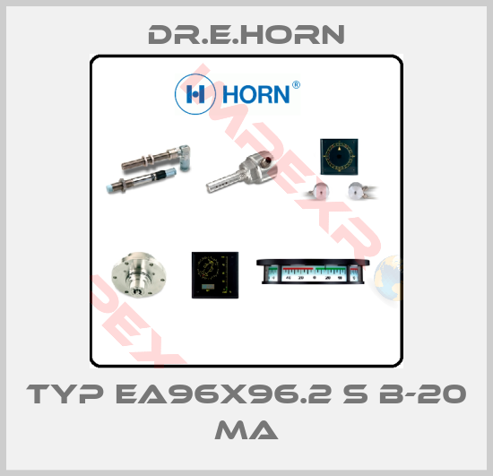 Dr.E.Horn-Typ EA96x96.2 s B-20 mA