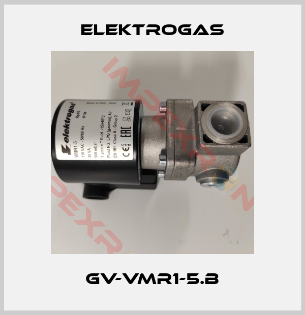 Elektrogas-GV-VMR1-5.B