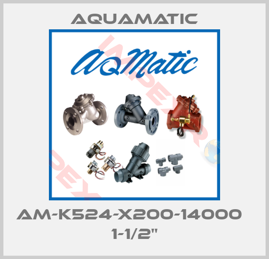 AquaMatic-AM-K524-X200-14000   1-1/2"