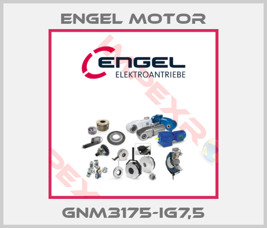 Engel Motor-GNM3175-IG7,5