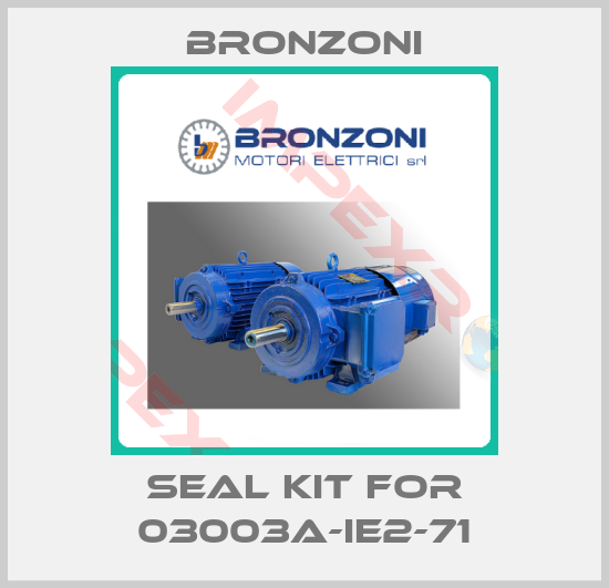 Bronzoni-seal kit for 03003A-IE2-71