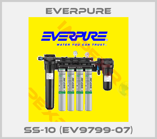 Everpure-SS-10 (EV9799-07)
