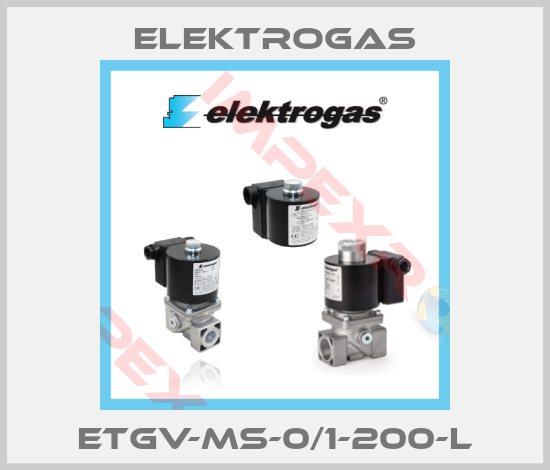 Elektrogas-ETGV-MS-0/1-200-L