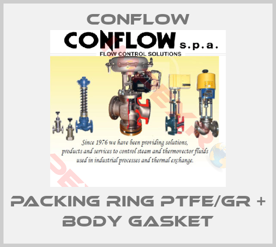 CONFLOW-Packing ring PTFE/GR + body gasket