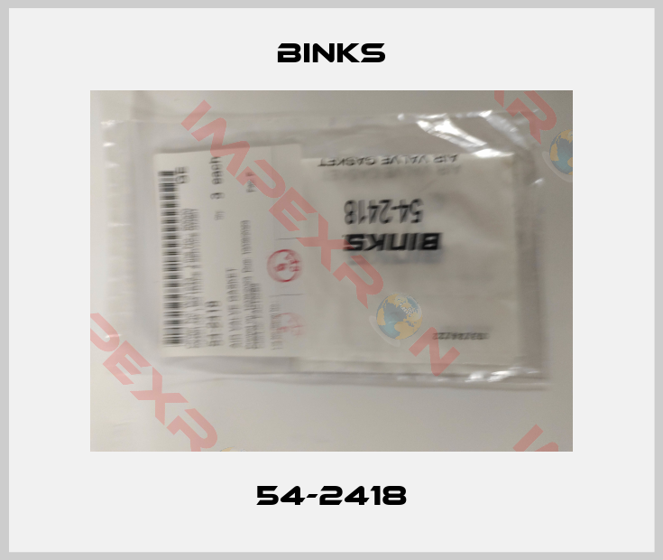 Binks-54-2418
