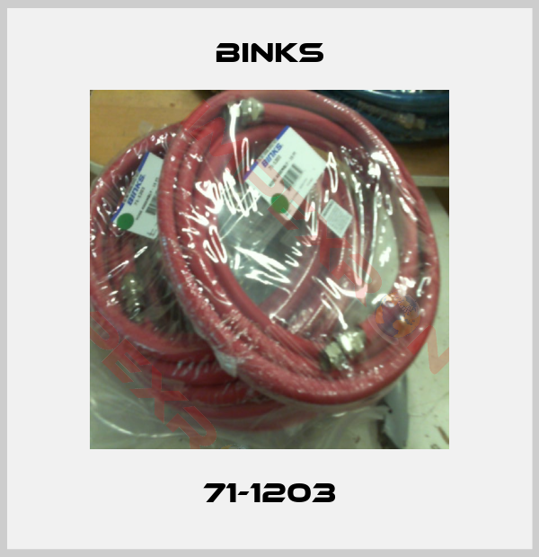 Binks-71-1203