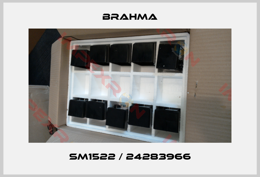 Brahma-SM1522 / 24283966