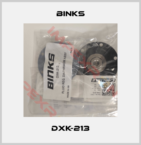 Binks-DXK-213