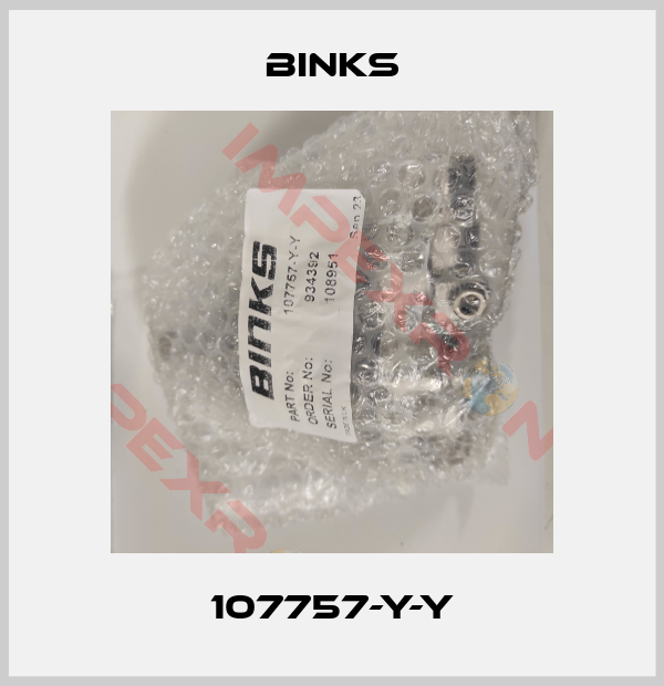 Binks-107757-Y-Y