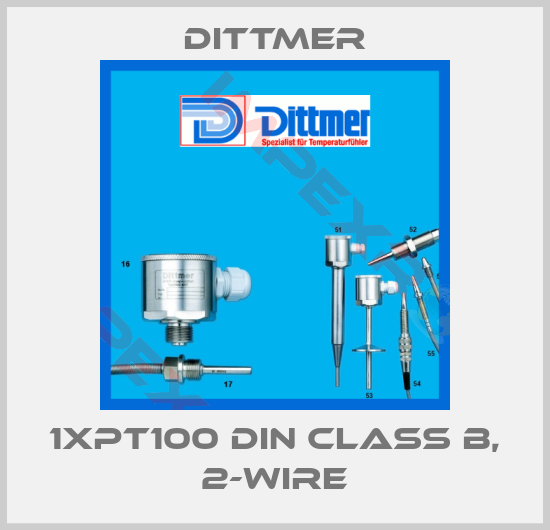 Dittmer-1xPT100 DIN class B, 2-wire