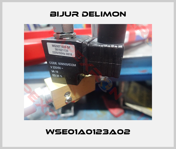 Bijur Delimon-WSE01A0123A02