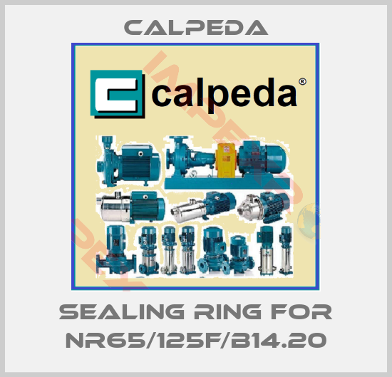 Calpeda-Sealing ring for NR65/125F/B14.20