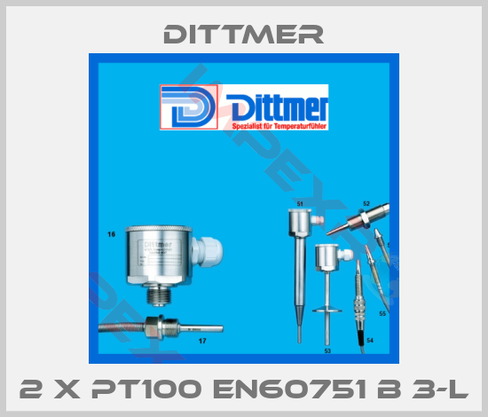 Dittmer-2 x PT100 EN60751 B 3-L
