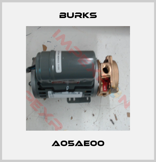 Burks-A05AE00