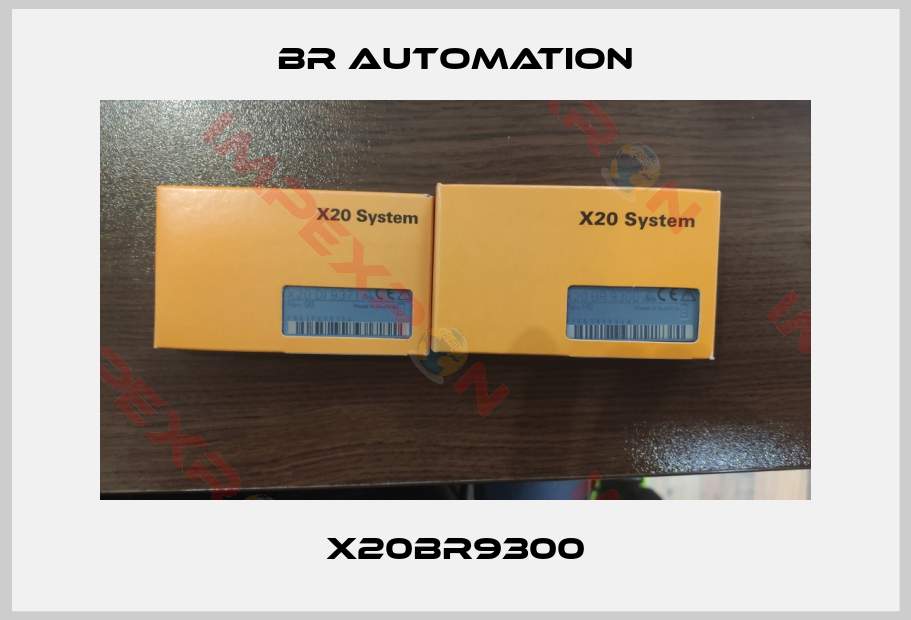 Br Automation-X20BR9300