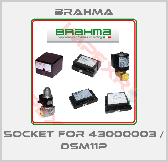 Brahma-socket for 43000003 / DSM11P