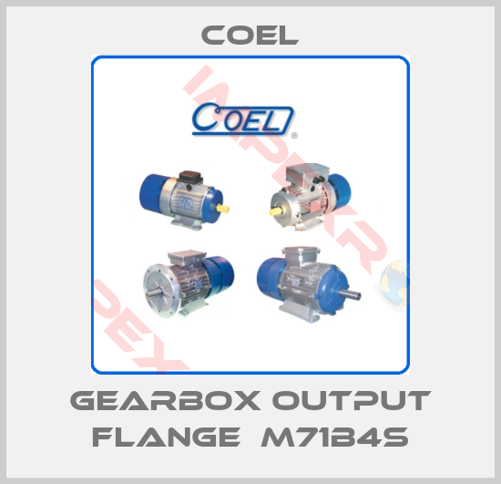Coel-Gearbox output flange  M71B4S