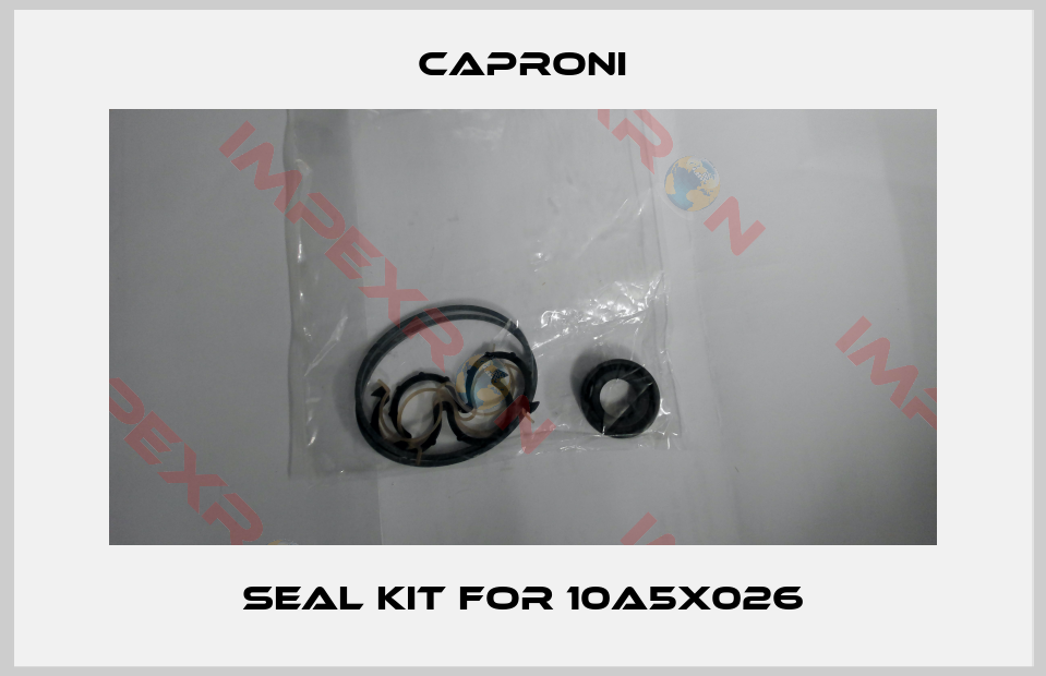 Caproni-seal kit for 10A5X026