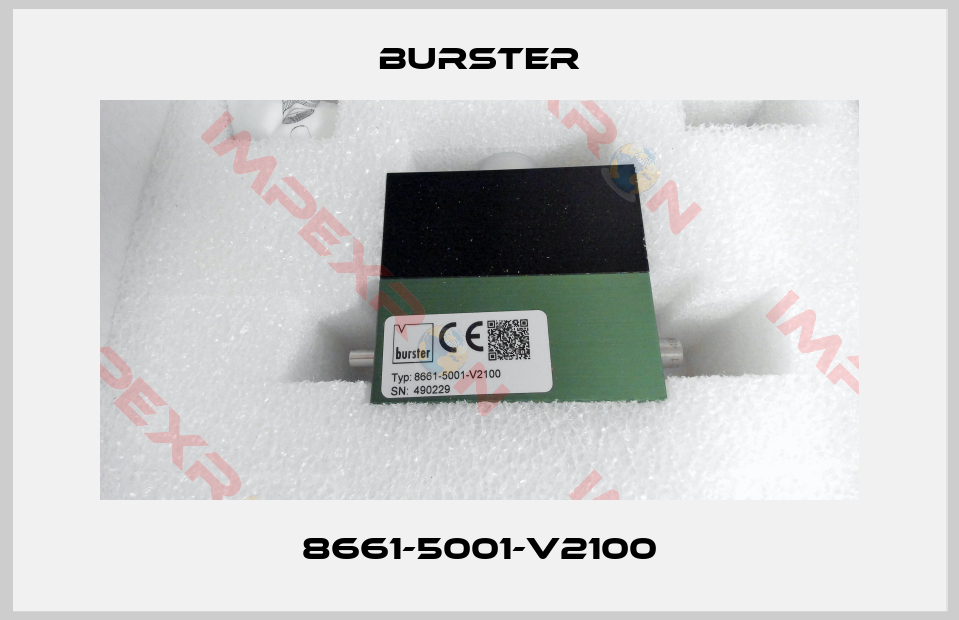 Burster-8661-5001-V2100