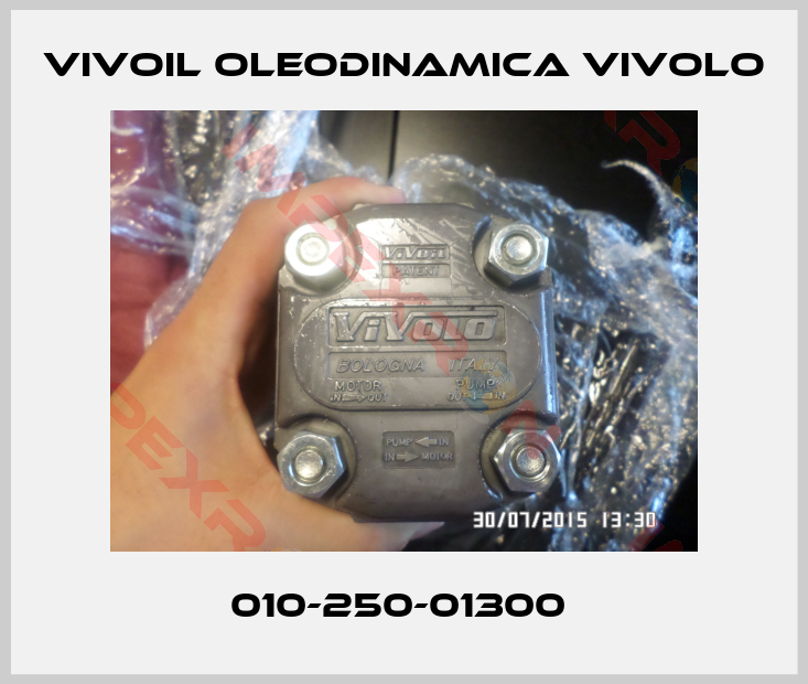 Vivoil Oleodinamica Vivolo-010-250-01300 