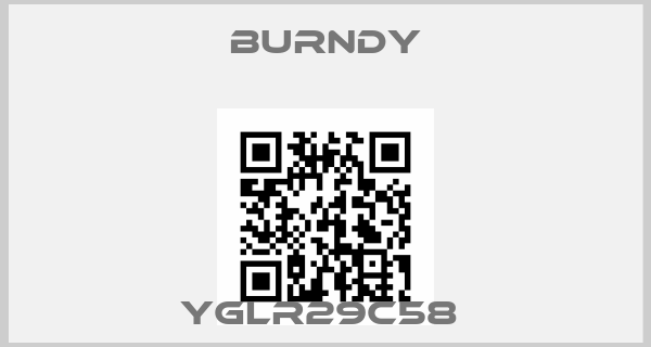 Burndy-YGLR29C58 