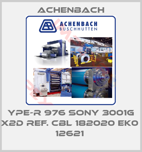 ACHENBACH-YPE-R 976 SONY 3001G X2D REF. CBL 182020 EK0  12621 