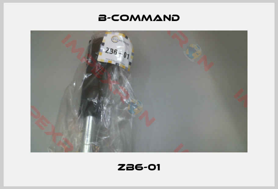 B-COMMAND-ZB6-01