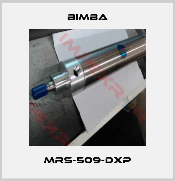 Bimba-MRS-509-DXP