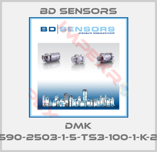 Bd Sensors-DMK 457-590-2503-1-5-TS3-100-1-K-2-000