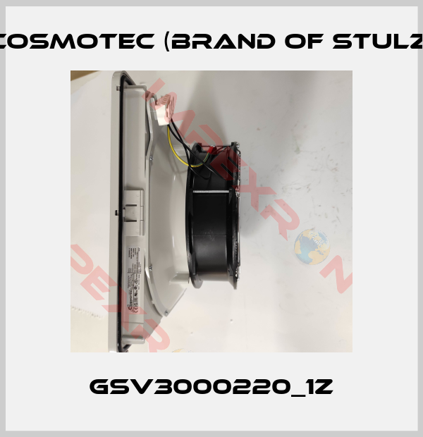 Cosmotec (brand of Stulz)-GSV3000220_1Z