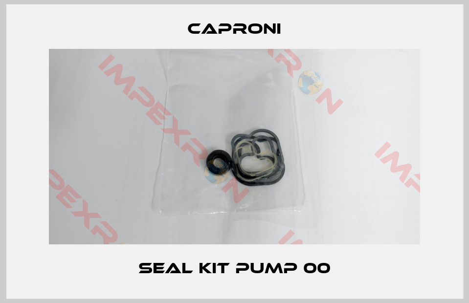 Caproni-Seal kit pump 00