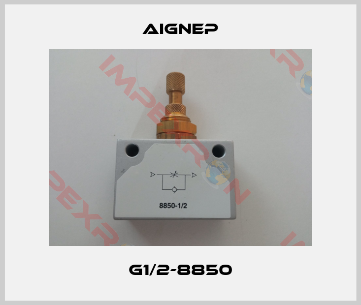 Aignep-G1/2-8850