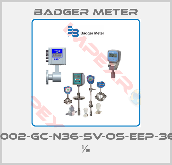 Badger Meter-1002-GC-N36-SV-OS-EEP-36 ½
