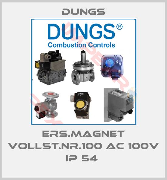 Dungs-Ers.Magnet vollst.Nr.100 AC 100V IP 54 